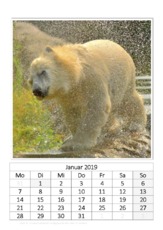 Januar_Eisbär.pdf